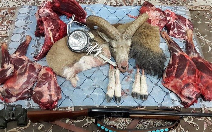 گوشت غیر مجاز از فرودگاه لارستان به دبی نرسید