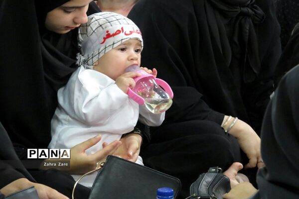 همایش شیرخوارگان حسینی در محمودآباد