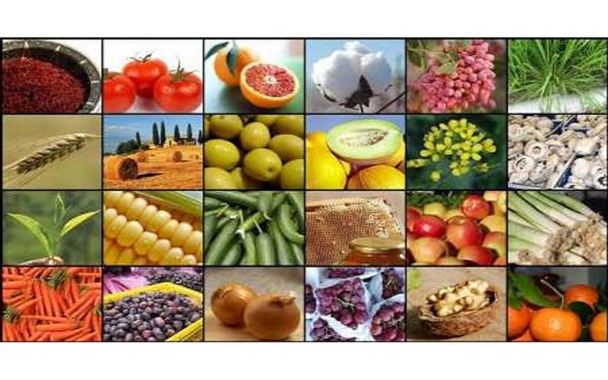 چرا این روزها ممنوعیت صادرات  از کشور ضروری است