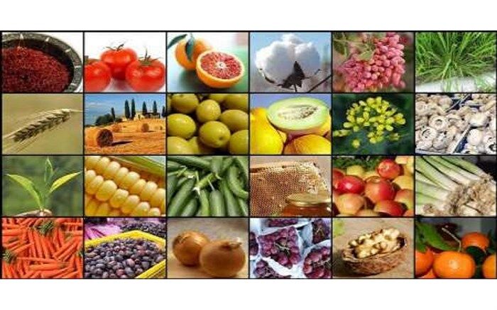 چرا این روزها ممنوعیت صادرات  از کشور ضروری است