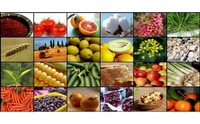 چرا این روزها ممنوعیت صادرات  از کشور ضروری است
