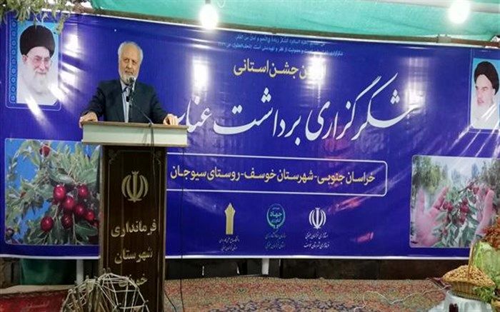 مراکز علمی و پژوهشی در راستای شناسایی خواص طبی و درمانی عناب عمیقاً تلاش کنند