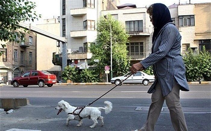 اپیدمی سگ‌ها؛ عدم توانایی  برقراری ارتباط با همنوع و ارتباط با زبان بسته‌ها