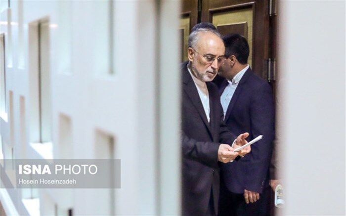 صالحی وارد وین شد