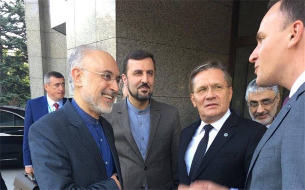 رایزنی های دوجانبه صالحی و همتای روسی در وین 