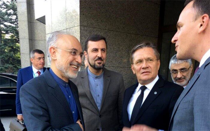 رایزنی های دوجانبه صالحی و همتای روسی در وین 