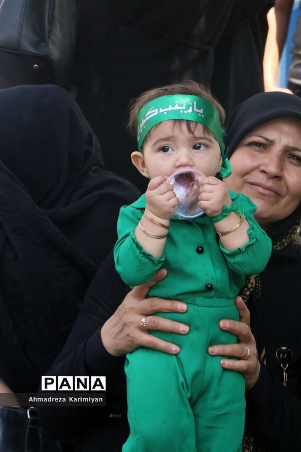 عاشورای حسینی در شهرستان فسا