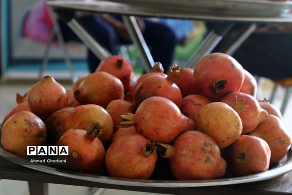 نمایشگاه بین‌المللی صنایع کشاورزی، دام، طیور و شیلات مازندران