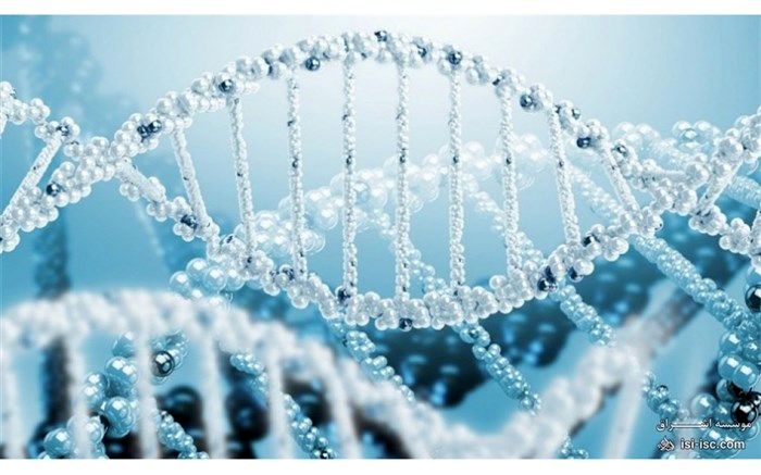 دومین دوره کارسوق مهندسی ژنتیک برگزار می‌شود