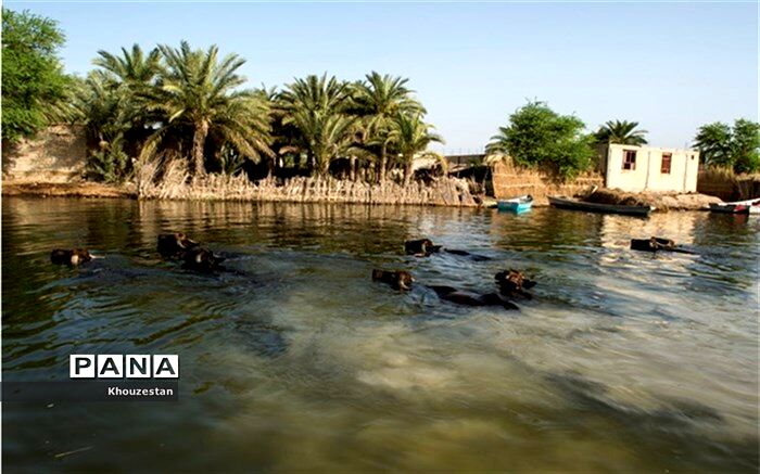 آخرین مراحل پروژه انتقال آب از رودخانه کارون به تالاب بین المللی شادگان
