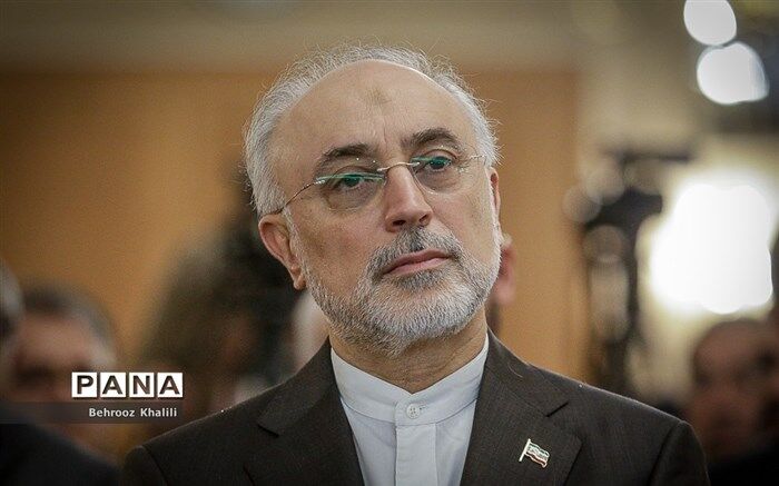 علی اکبرصالحی: اگر برجام فرو بریزد، هیچ کس نمی‌تواند عواقب و نتایج آن را پیش بینی کند