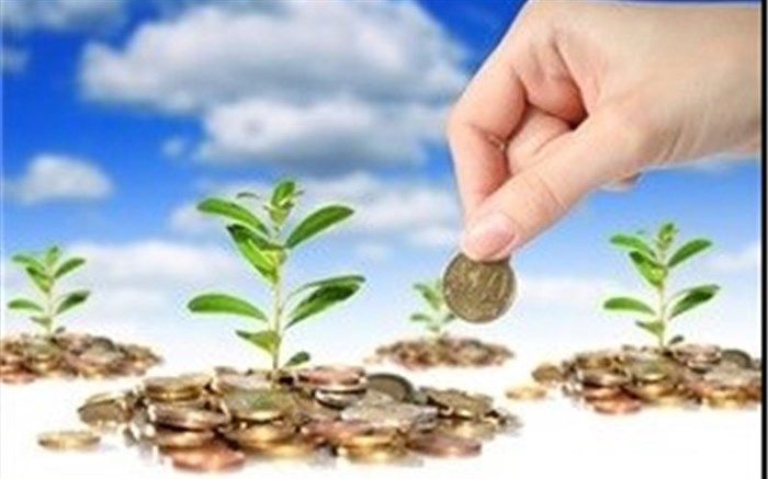 خسروشاهی رییس کمیته صیانت از شرکت‌های بیمه شد