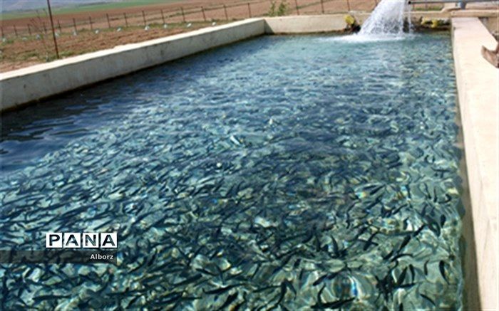 مازندران رتبه نخست تولید 12 محصول زراعی، دامی و شیلاتی را دارد