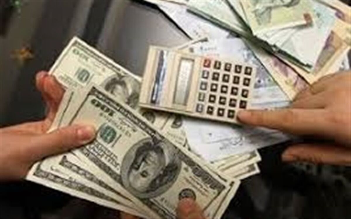 افزایش نرخ ارز توسط دولت، اتهامی بی‌اساس است