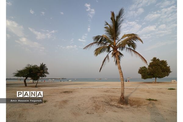 ایران. جزیره کیش