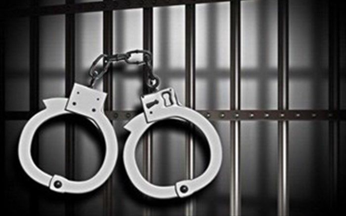 همسر مدیرعامل «سکه ثامن» در فرودگاه تبریز دستگیر شد