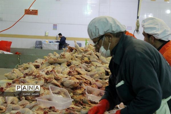 بازدید خبرنگاران از کشتارگاه صنعتی مرغ بهاران