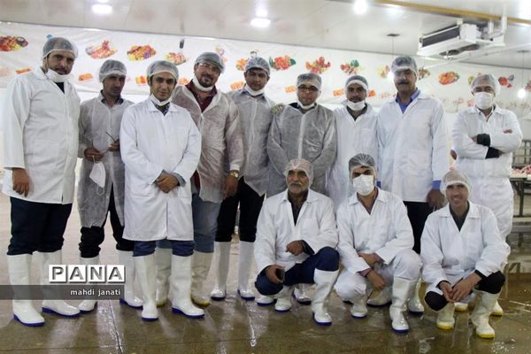 بازدید خبرنگاران از کشتارگاه صنعتی مرغ بهاران