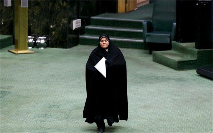 سعیدی، نماینده تهران: پیروزی ما آن چیزی نیست که کسی در آن شکست بخورد