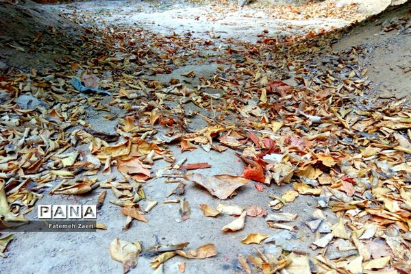 طبیعت پاییزی لامِرد فارس