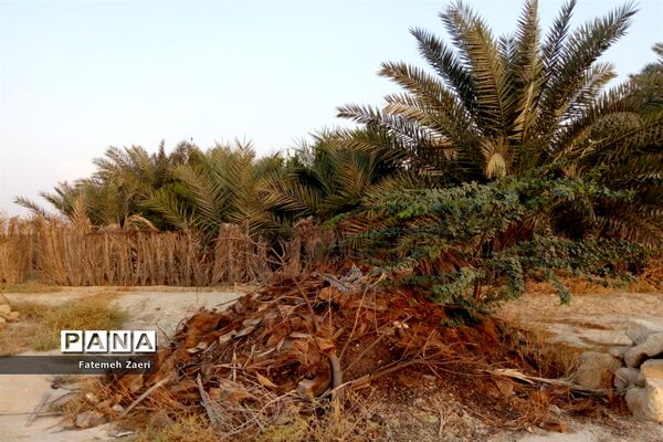 طبیعت پاییزی لامِرد فارس