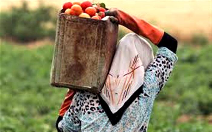 راه طولانی زنان روستایی برای راهیابی به چرخه بازارکار نوین