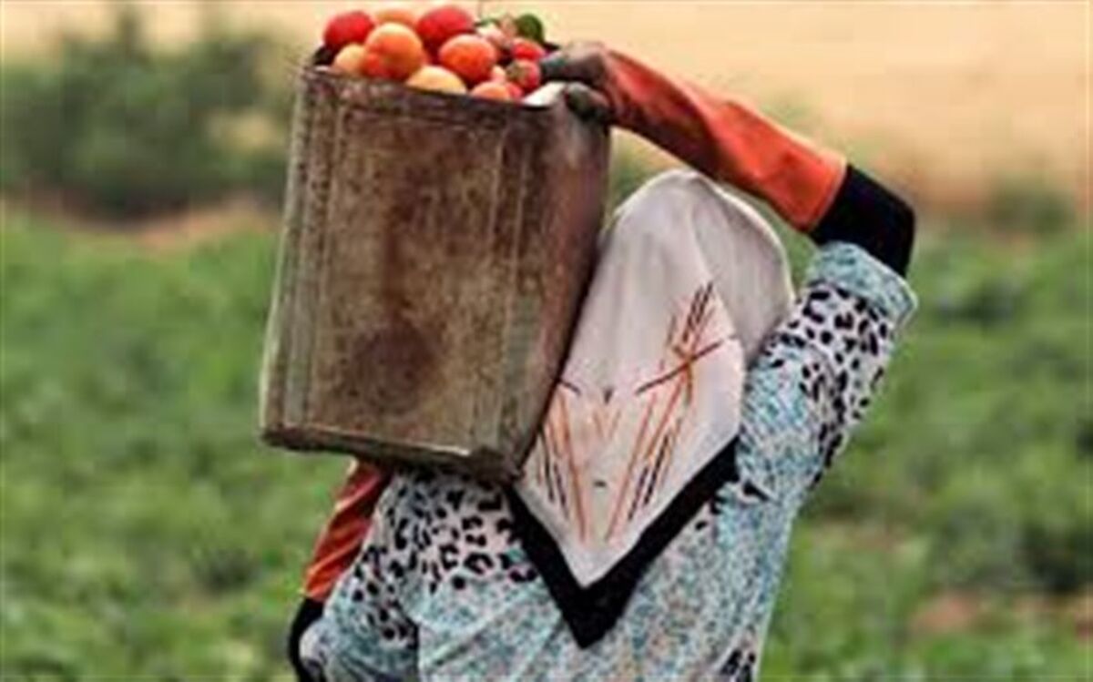 راه طولانی زنان روستایی برای راهیابی به چرخه بازارکار نوین