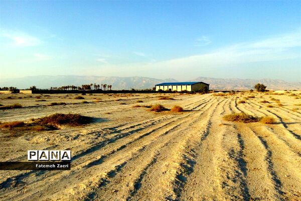 توقف عملیات ساخت سالن ورزشی شهدای رمضان در لامِرد فارس