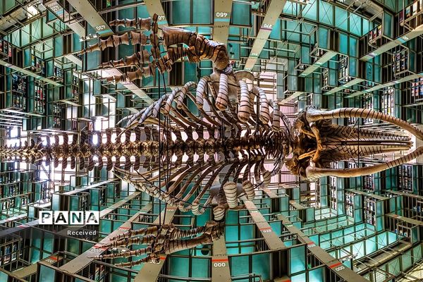 کتابخانه‌های بزرگ و کوچک از سراسر جهان