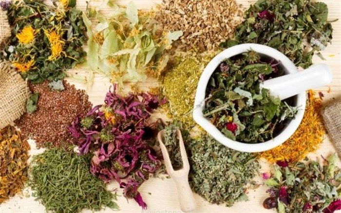 در حق گیاهان دارویی ایران  اجحاف و ظلم شده است