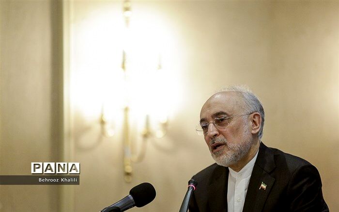 علی اکبر صالحی: انسان با درایت و هوشمندی و استقامت می‌تواند از سختی‌ها عبور کند