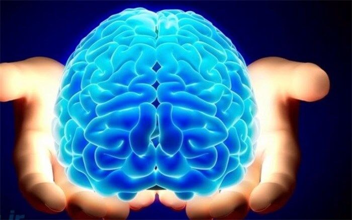 هوش مصنوعی کجای زندگی ما را تغییر می‌دهد؟