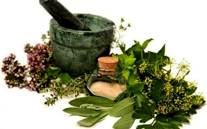 برگزاری چهارمین نمایشگاه ملی گیاهان دارویی و طب سنتی  در تهران