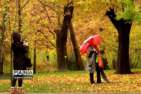 بارش باران پاییزی در تهران