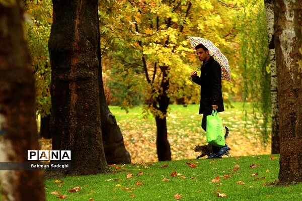 بارش باران پاییزی در تهران