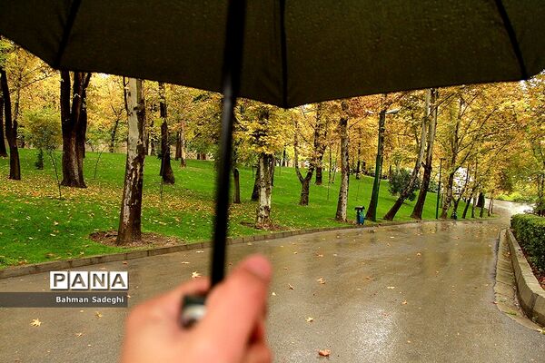 بارش باران پاییزی در تهران