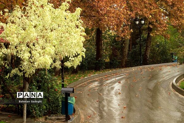 بارش باران پاییزی در تهران