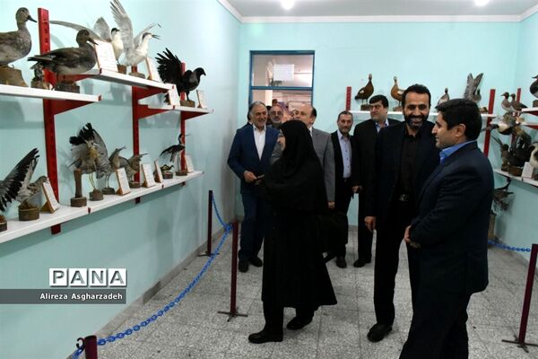 بازدید معاون آموزش ابتدایی وزارت آموزش‌وپرورش از کانون فجر بابلسر