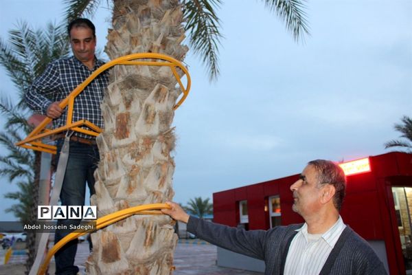 جشنواره و نمایشگاه بین المللی خرما و صنایع وابسته در بوشهر