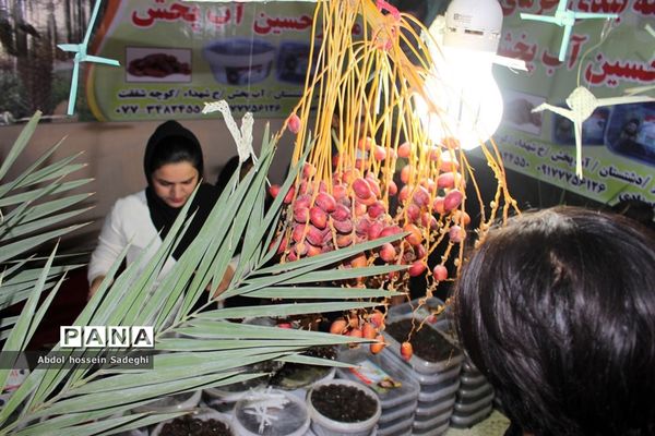 جشنواره و نمایشگاه بین المللی خرما و صنایع وابسته در بوشهر