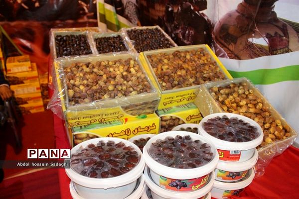 جشنواره و نمایشگاه بین المللی خرما و صنایع وابسته در بوشهر