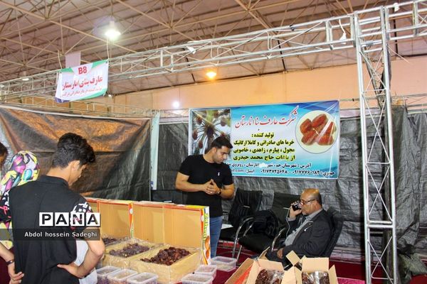جشنواره و نمایشگاه بین المللی خرما و صنایع وابسته در بوشهر