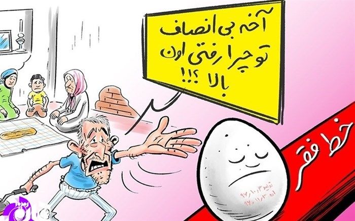 تخم مرغ گران شد