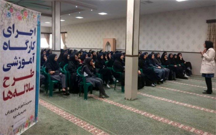 برگزاری اولین کارگاه آموزشی طرح سلاله ها در ناحیه یک