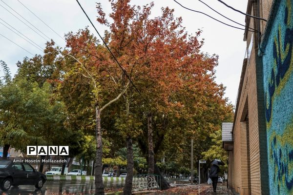 روز های بارانیِ پاییز ارومیه