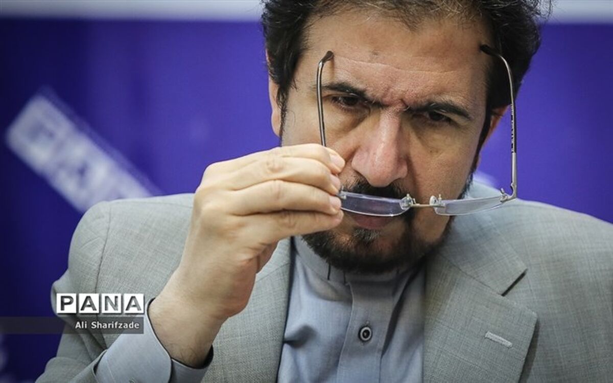 قاسمی: آمریکایی‌ها به دروغ می‌گویند در پی تحریم اقلام غدایی و دارویی نیستند