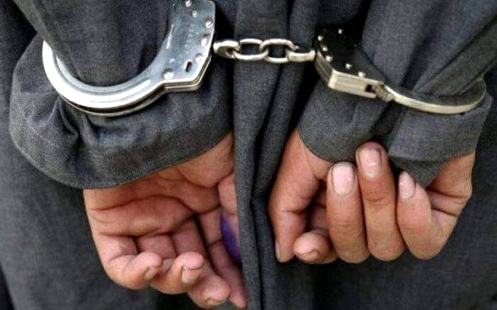 عربده‌کش خیابان جمهوری دستگیر شد