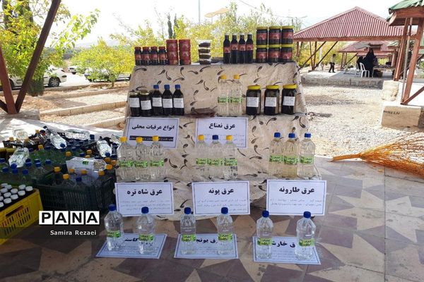 برگزاری نخستین جشنواره انار و خرمای شهر خاوران