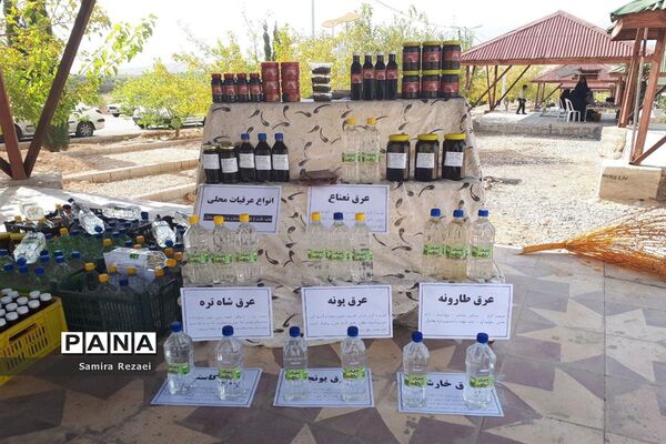 برگزاری نخستین جشنواره انار و خرمای شهر خاوران