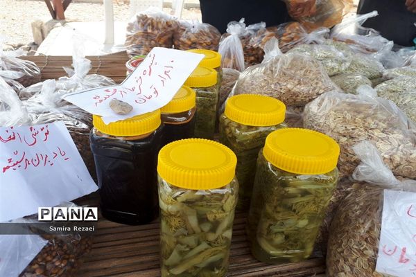 برگزاری نخستین جشنواره انار و خرمای شهر خاوران